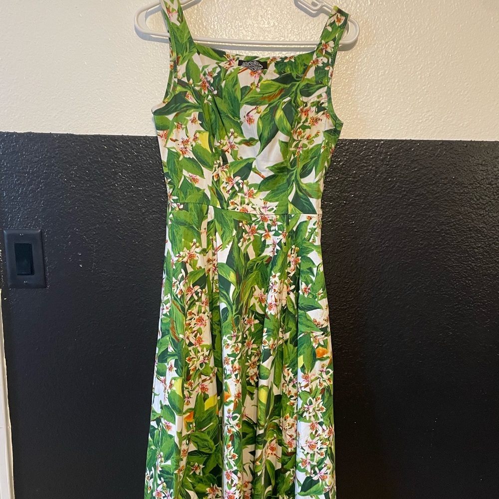 Hearts and Roses- Plant Circle Dress